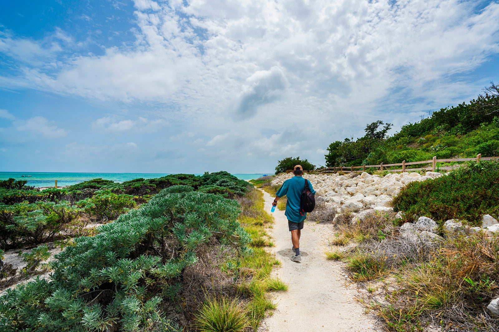 You are currently viewing Aeroplan partners with Manulife: Earn points on health and wellness activities