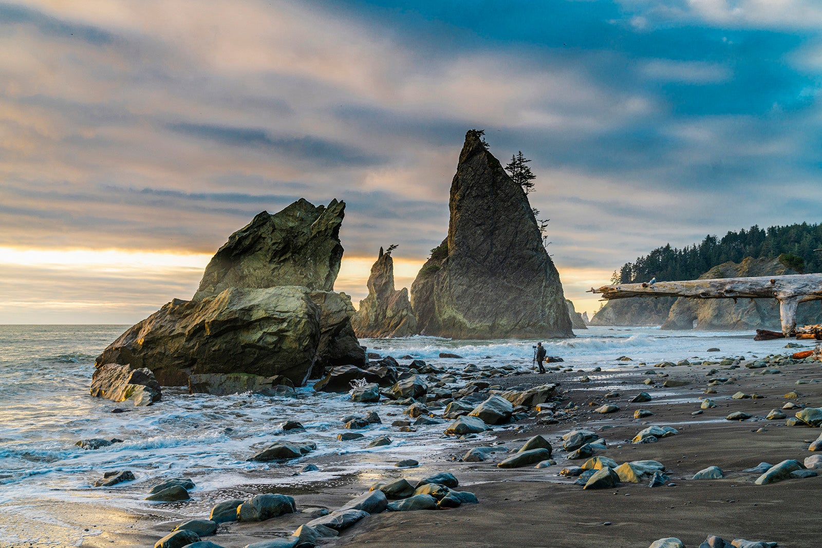 You are currently viewing Pacific Northwest road trip: The San Juan Islands and Olympic Peninsula