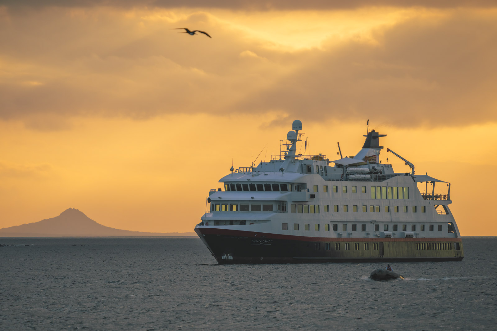 You are currently viewing Expedition Cruises – Complete Guide to Cruising Remote Destinations