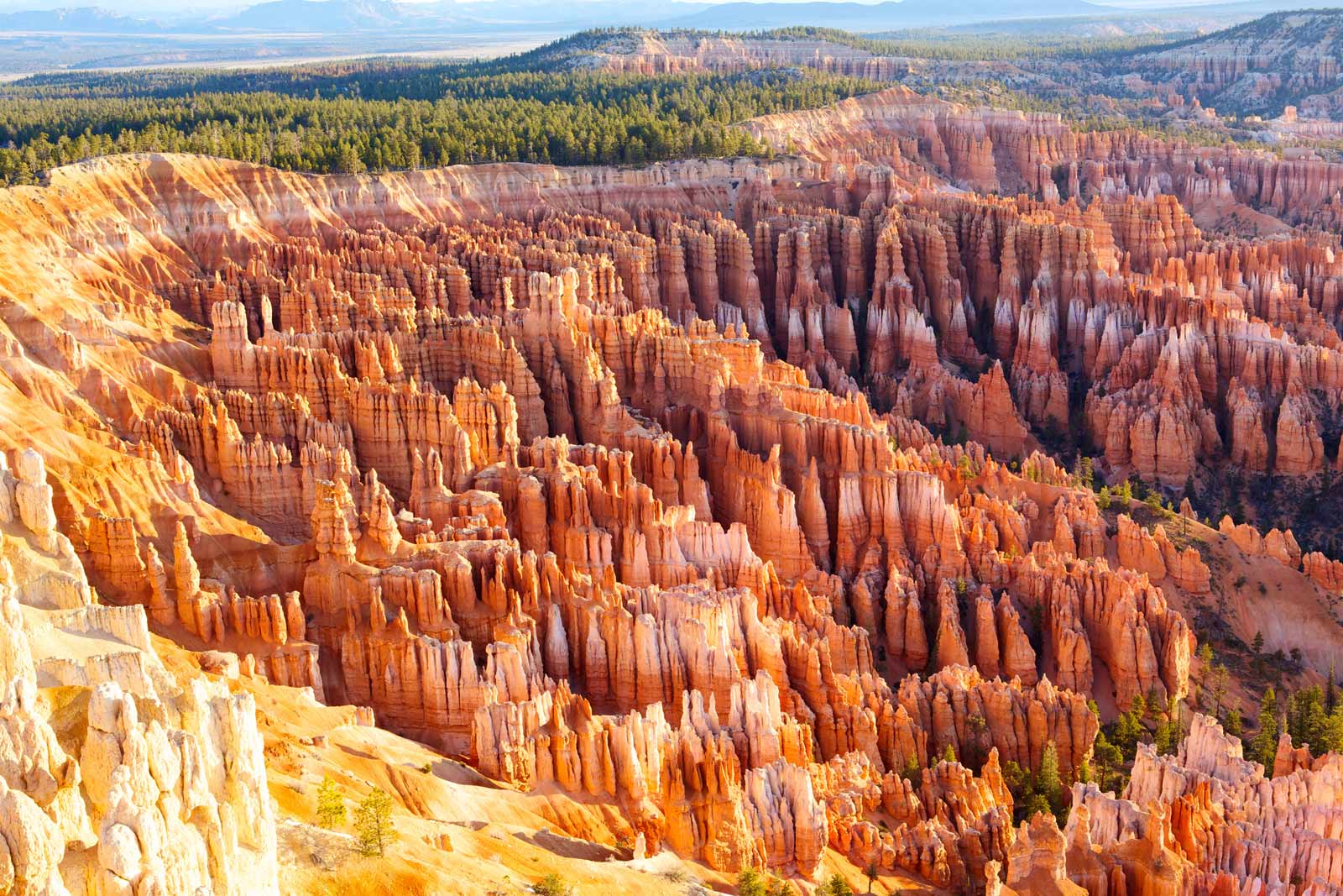 You are currently viewing 16 Best National Parks To Visit in March In 2024