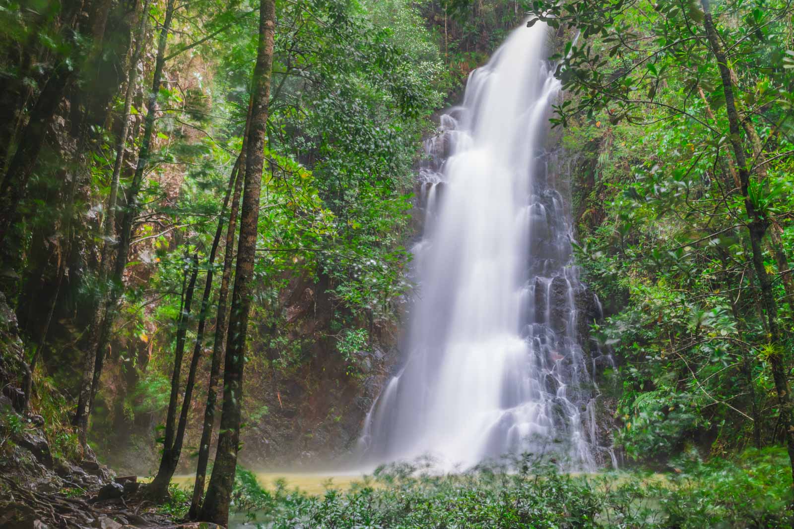 You are currently viewing Discover San Ignacio, Belize- Your Ultimate Guide To Adventure