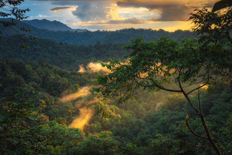 Read more about the article Mashpi Lodge – Luxury and Adventure in the Cloud Forest of Ecuador