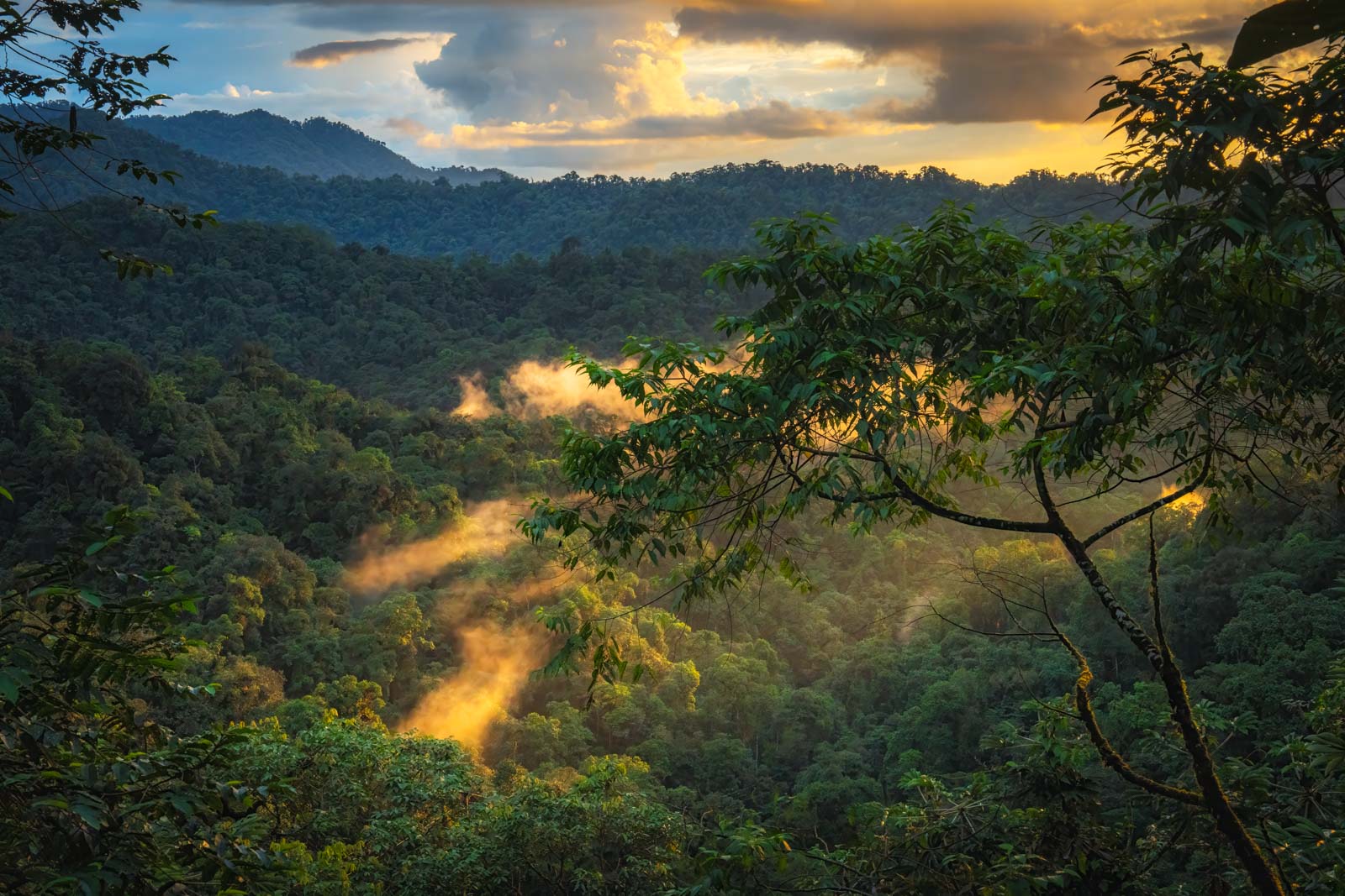 You are currently viewing Mashpi Lodge – Luxury and Adventure in the Cloud Forest of Ecuador