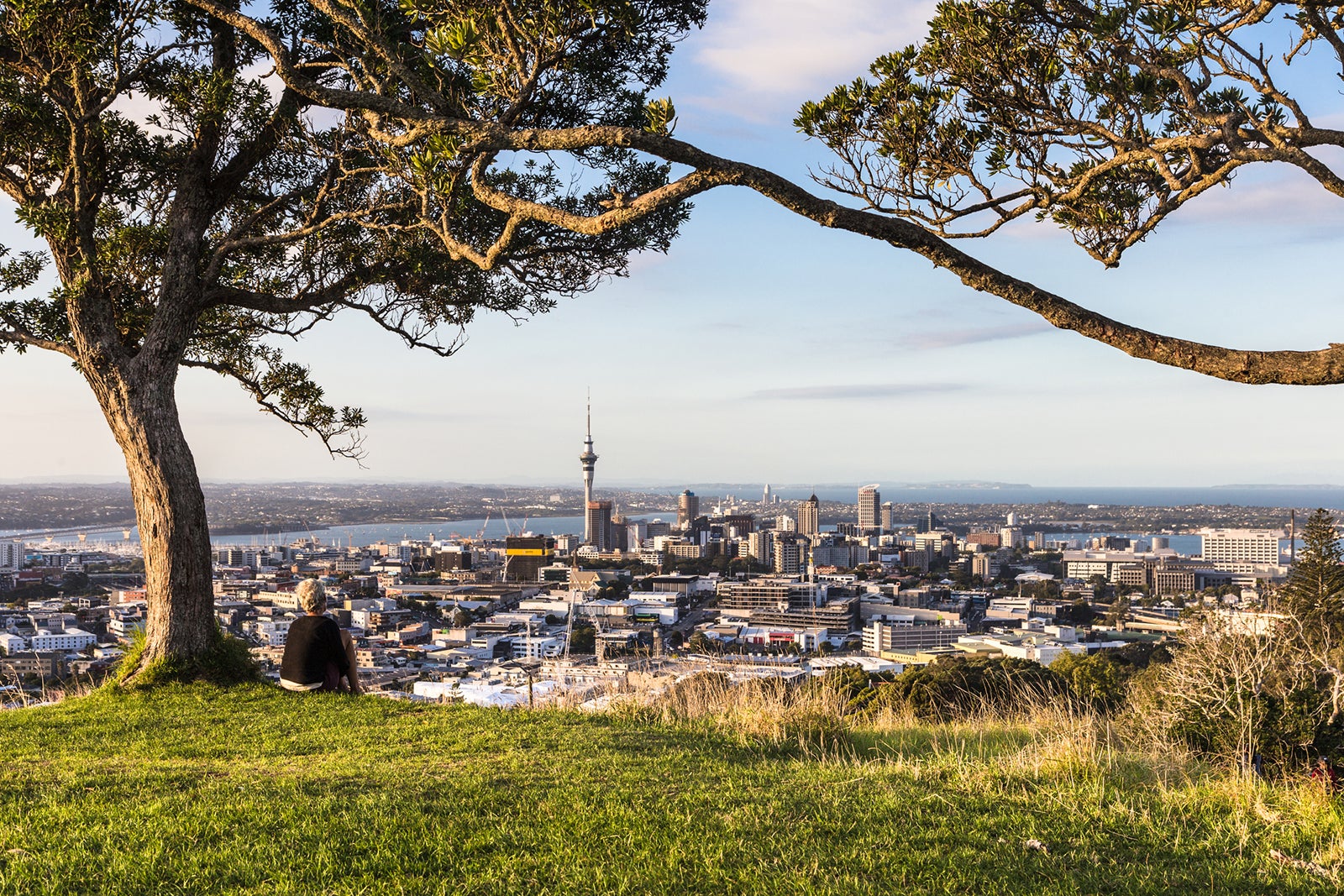 You are currently viewing Book now: Open business-class award availability to New Zealand this spring