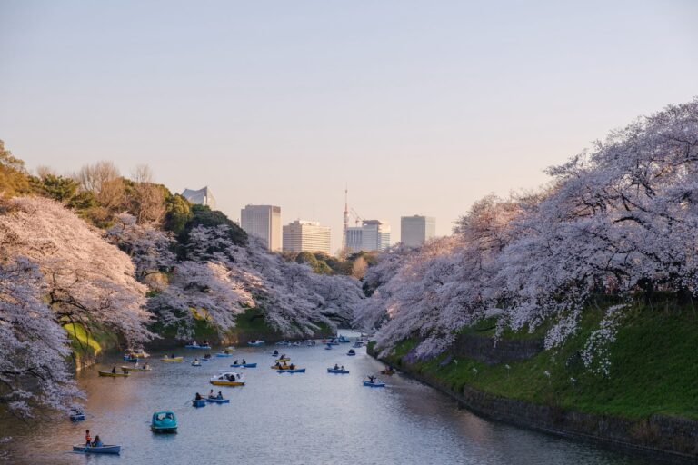 Read more about the article Where to stay during cherry blossom season