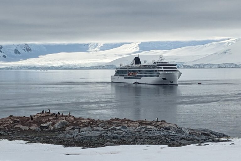 Read more about the article I found Goldilocks in Antarctica with this big little ship that’s just right