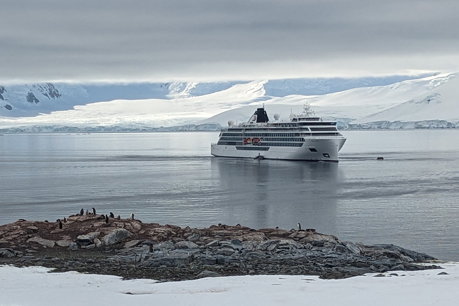 You are currently viewing I found Goldilocks in Antarctica with this big little ship that’s just right