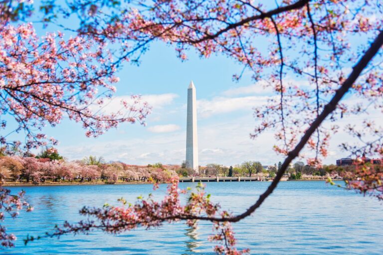 Read more about the article The best hotels in Washington, DC, in 2024