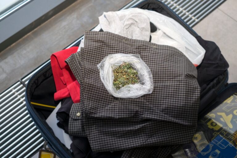 Read more about the article Can you fly with weed? Everything you should know ahead of 4/20