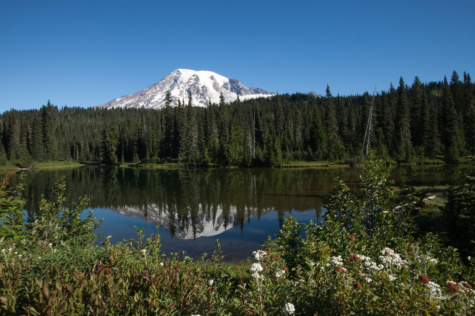 You are currently viewing Mount Rainier National Park now requires reservations: How to apply