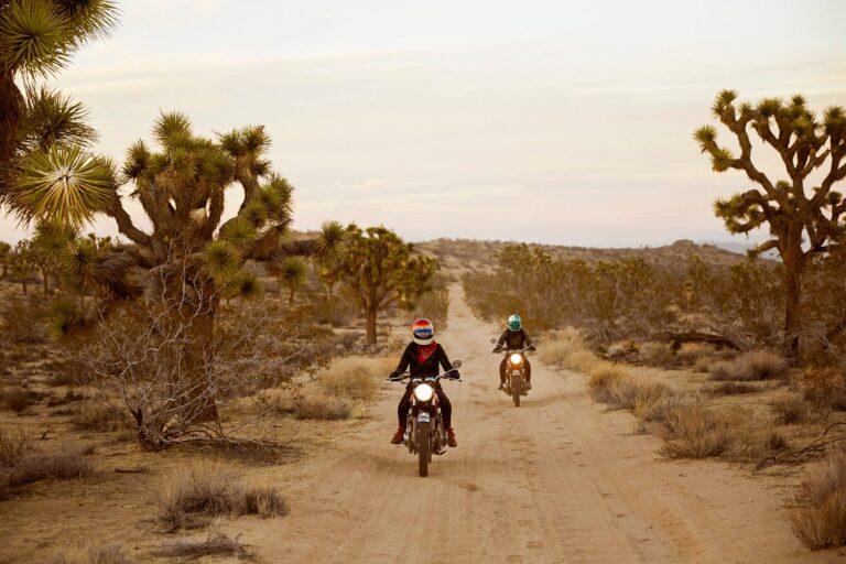 Read more about the article Everything you need to know about visiting Joshua Tree National Park