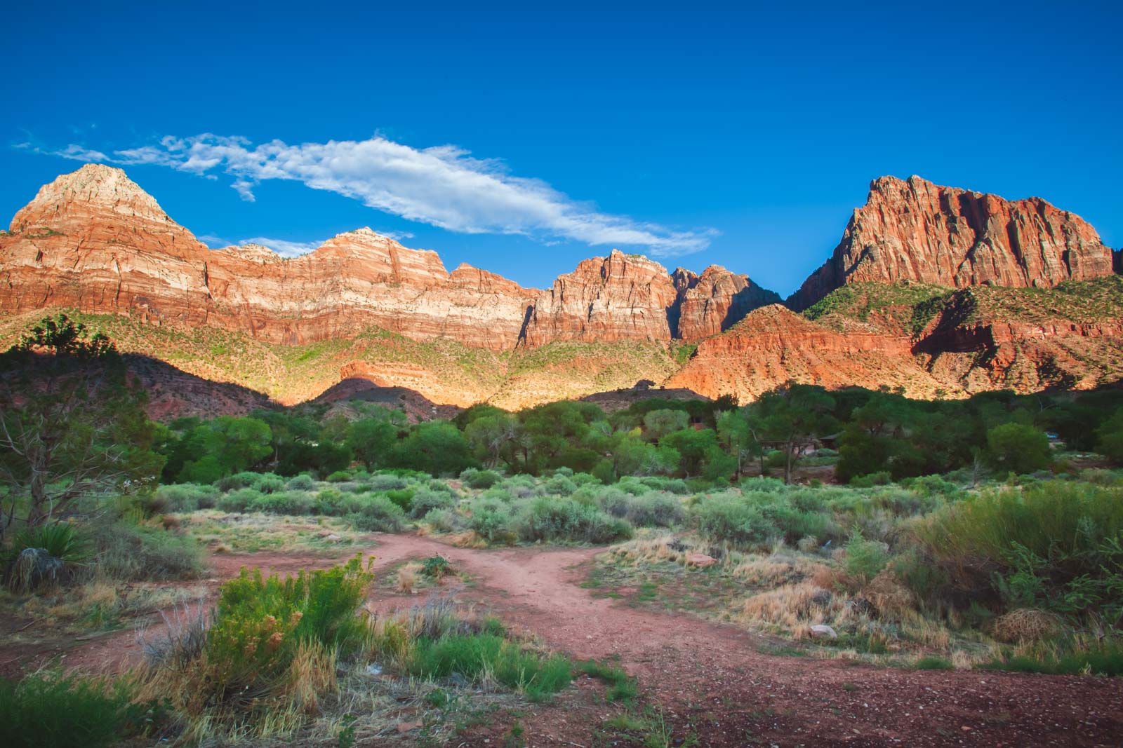 You are currently viewing Where to Stay In And Around Zion National Park: Our Favourite Places