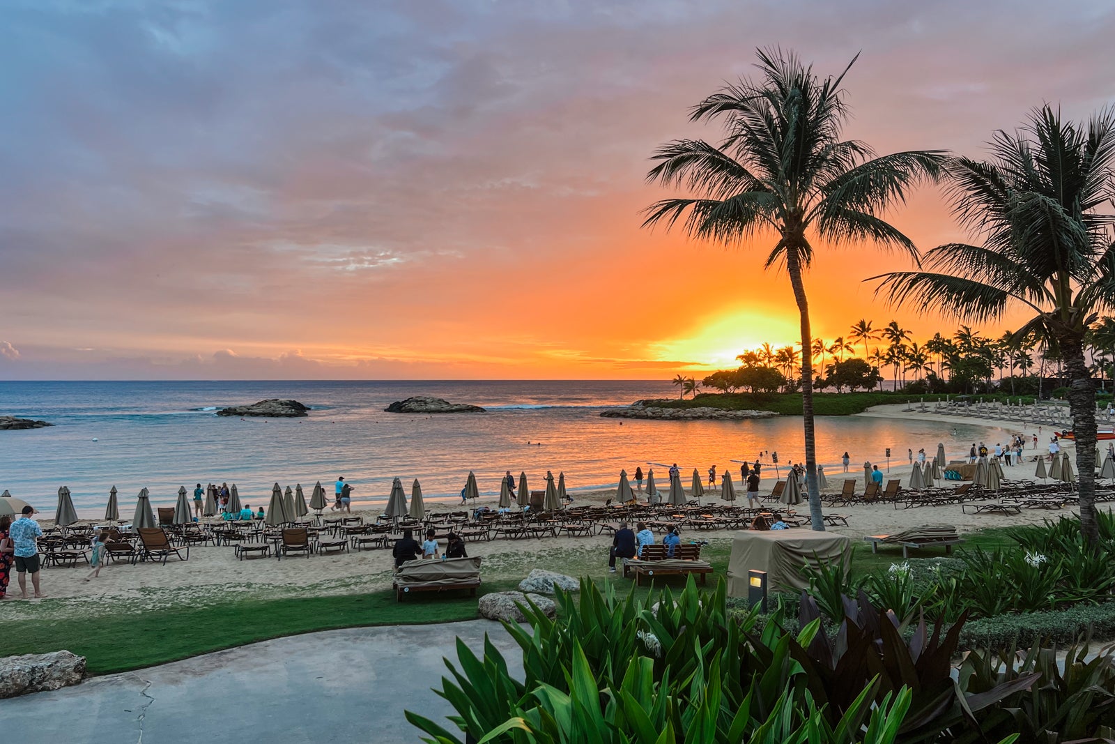 You are currently viewing Hawaiian Airlines launches first-class, round-trip flights deal