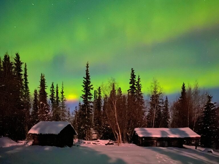 Read more about the article How to use a smartphone to photograph the northern lights