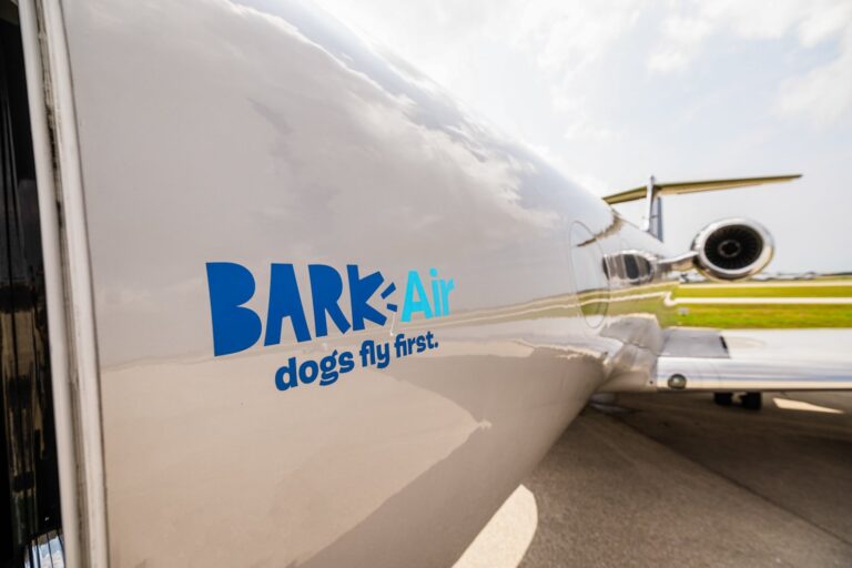 Read more about the article Bark (Air) or bite: Cat fight over dog flights