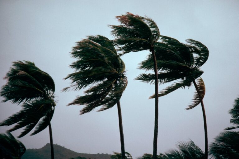 Read more about the article Hurricane season starts this month: TPG’s storm survival guide for travelers