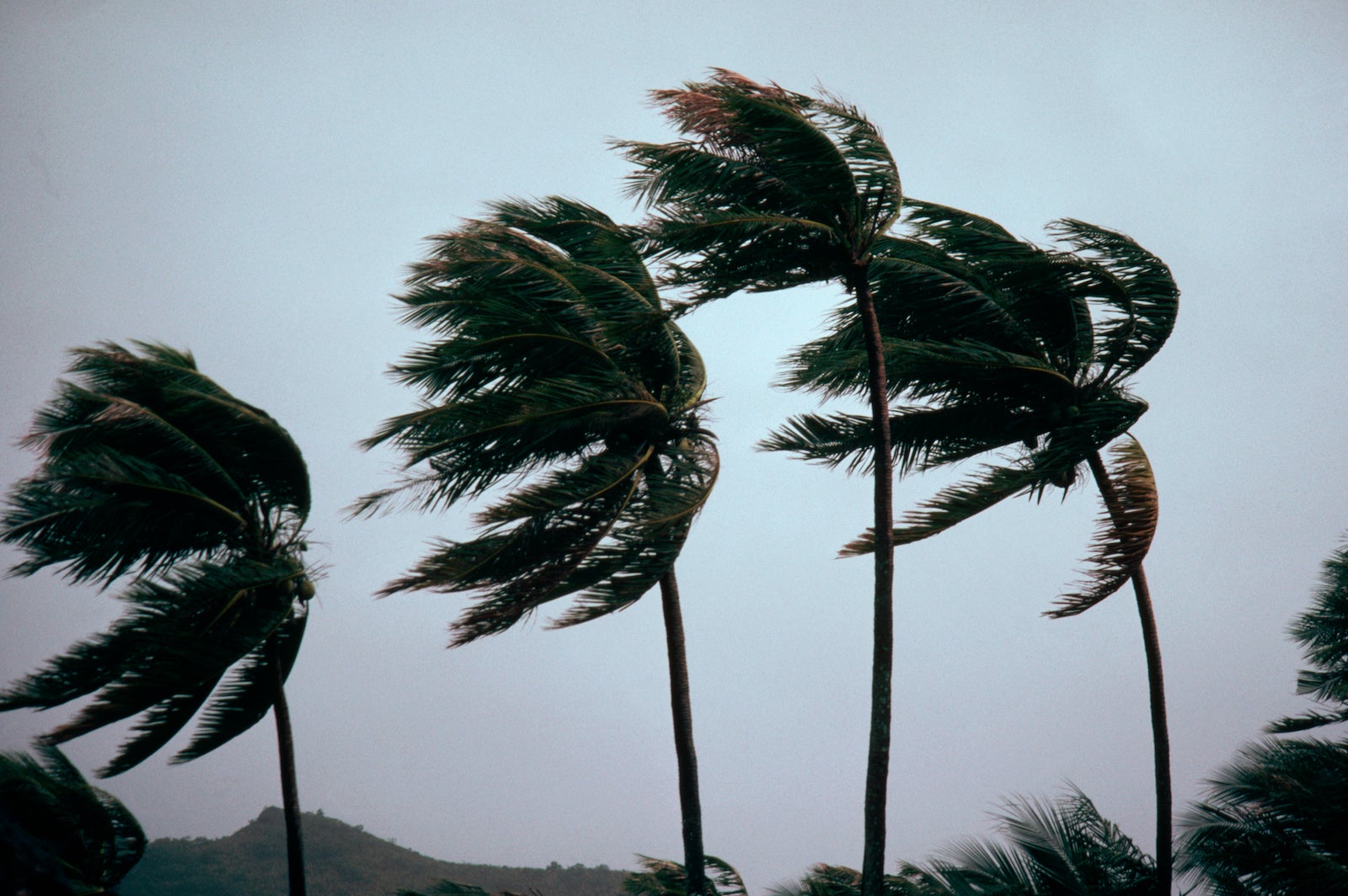 You are currently viewing Hurricane season starts this month: TPG’s storm survival guide for travelers