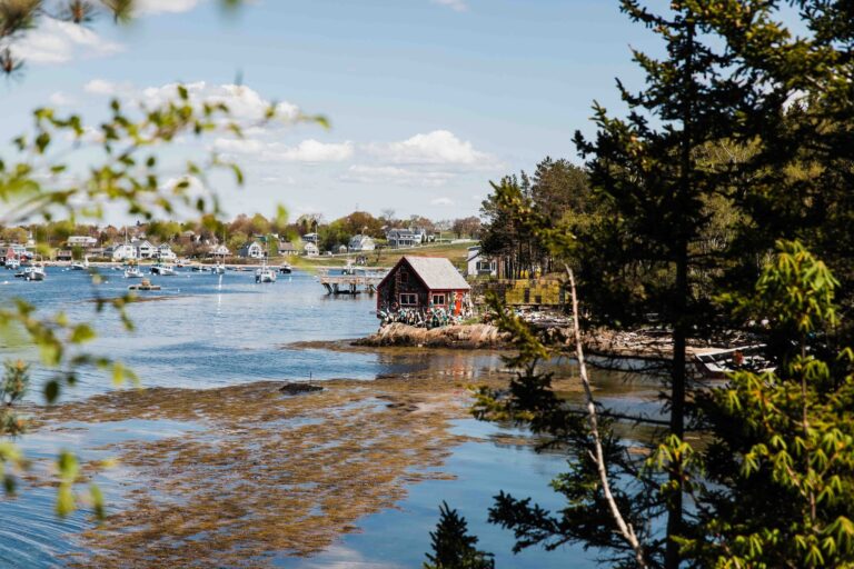 Read more about the article Guide to the perfect coastal Maine road trip
