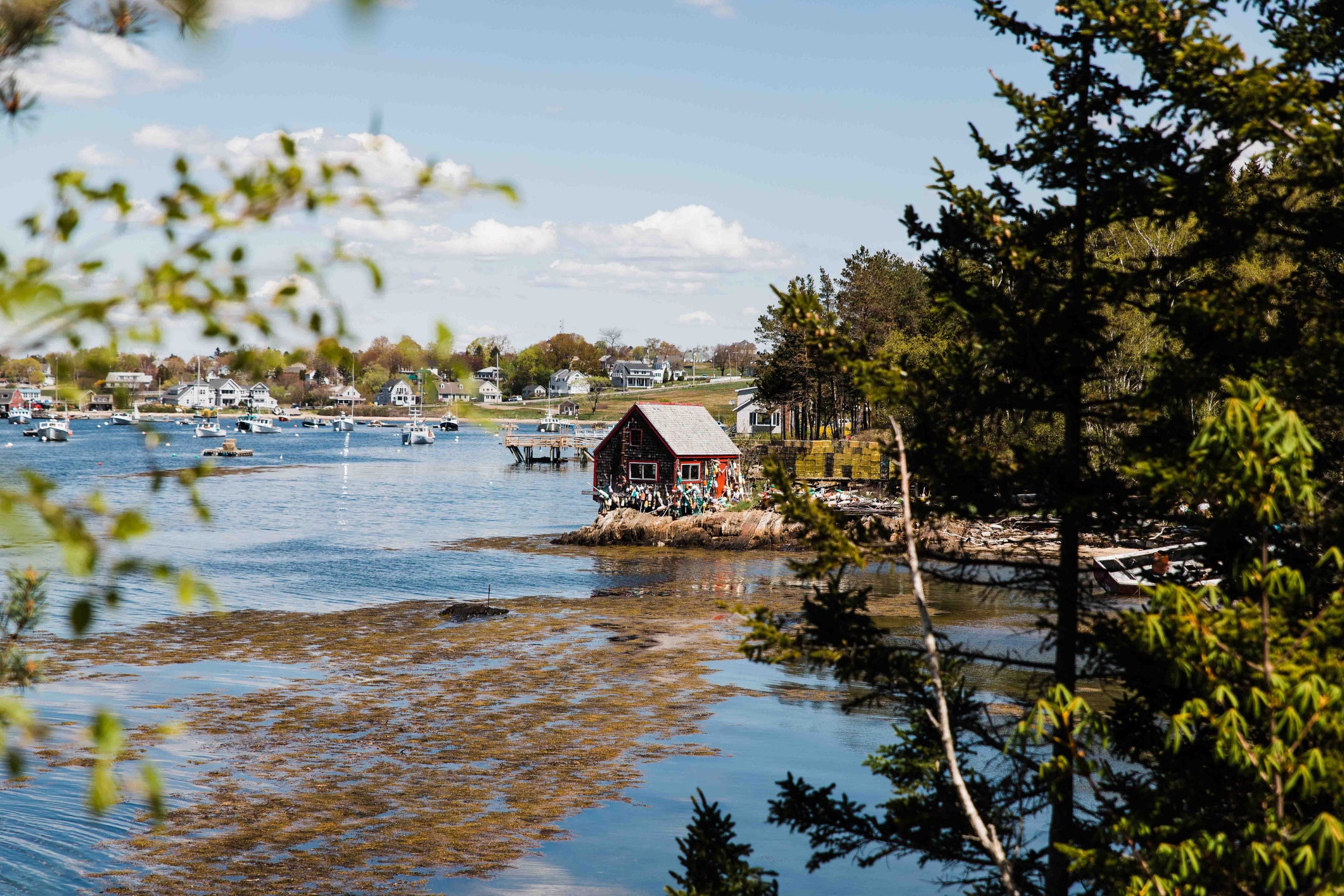 You are currently viewing Guide to the perfect coastal Maine road trip