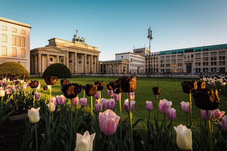 Read more about the article Deal alert: Fly to Germany from the US for $259 round-trip